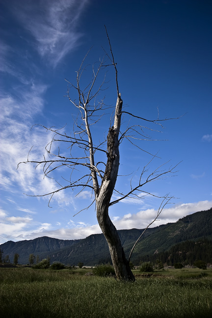 Cle Elum | Salmon La Sac,&nbsp;WA